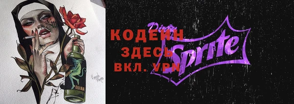 индика Санкт-Петербург